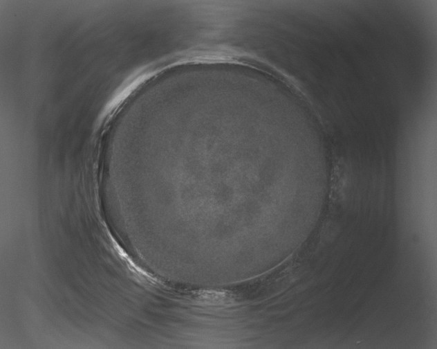 X0000085811456200703161142