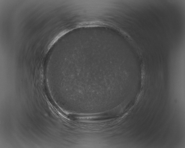 X0000085811457200703161142