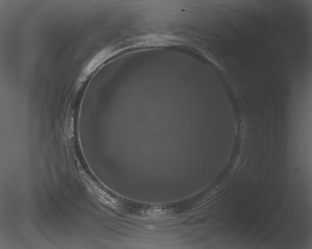 X0000085811459200703161142
