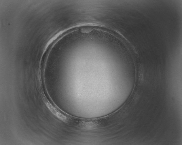 X0000085811460200703161142