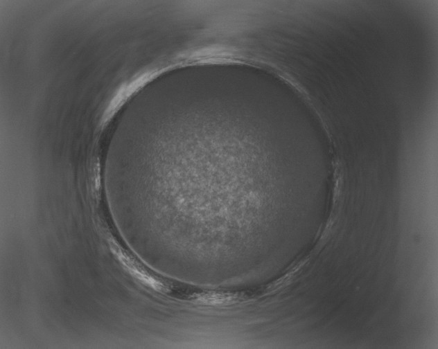 X0000085811461200703161142