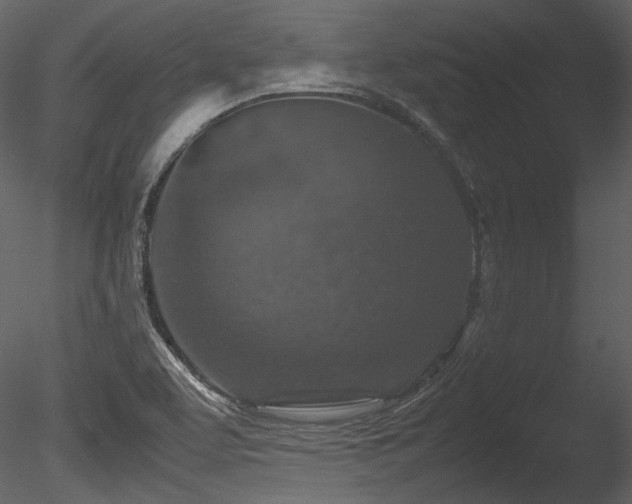 X0000085811463200703161142