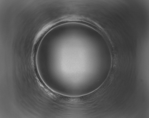 X0000085811464200703161142