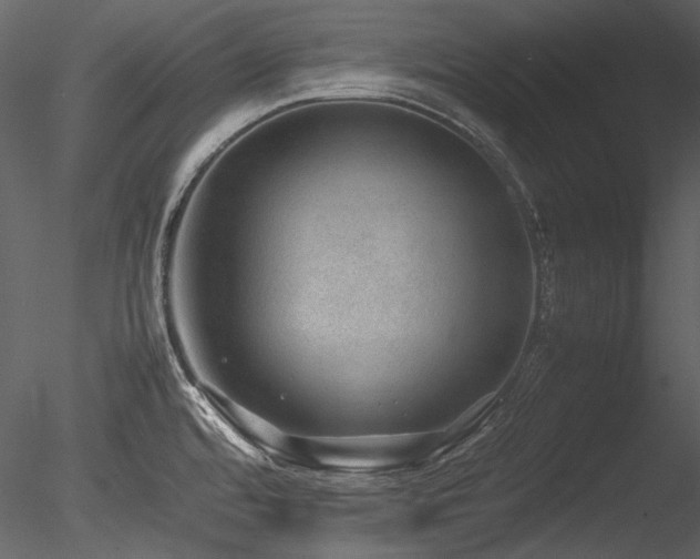 X0000085811480200703161142
