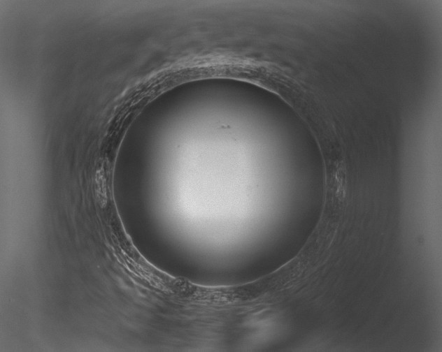 X0000085811493200703161141