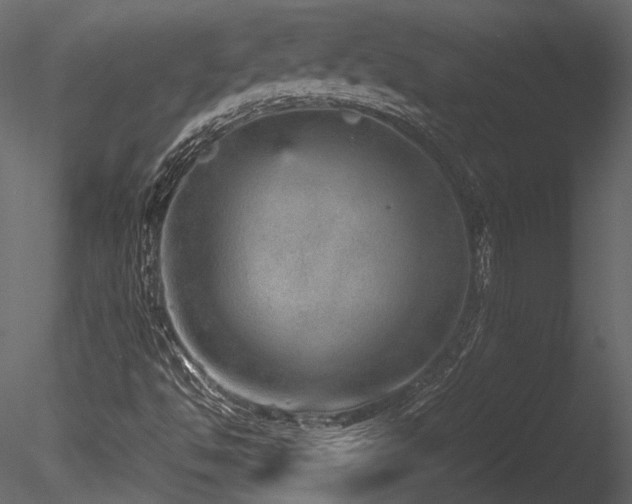 X0000085811494200703161141