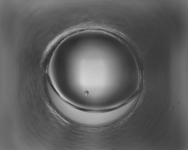 X0000085811502200703161141