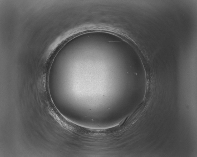 X0000085811503200703161141