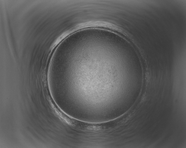 X0000085811521200703161142