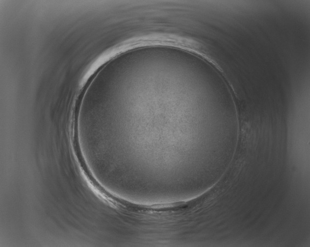 X0000085811523200703161142