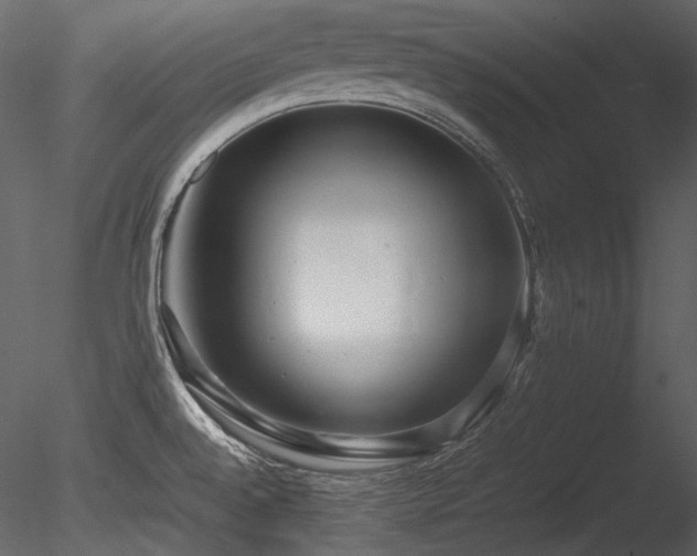 X0000085811528200703161142
