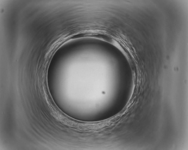 X0000085810001200703231348