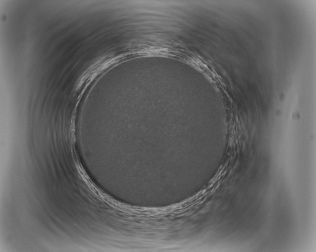 X0000085810002200703231348