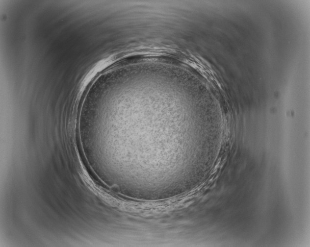 X0000085810003200703231348