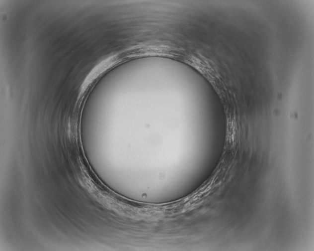 X0000085810004200703231348