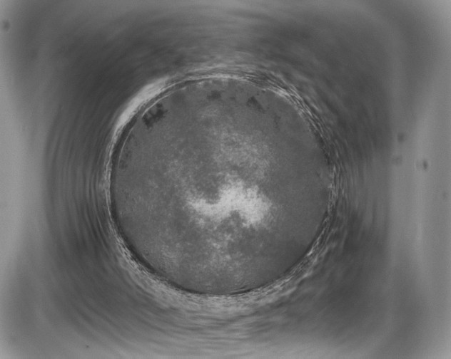 X0000085810006200703231348