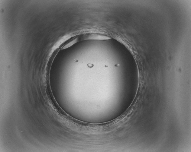 X0000085810008200703231348