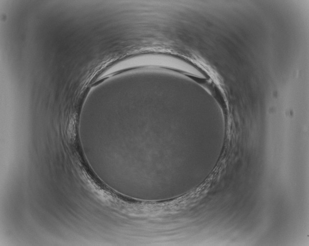 X0000085810009200703231348