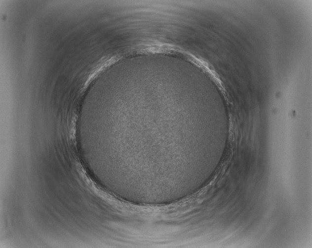 X0000085810010200703231348