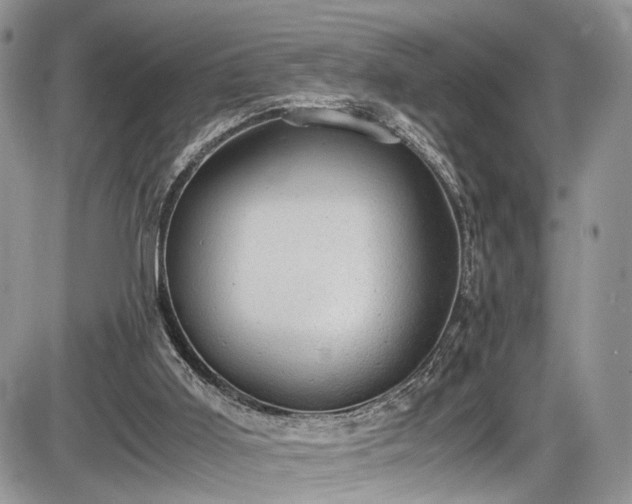 X0000085810011200703231348