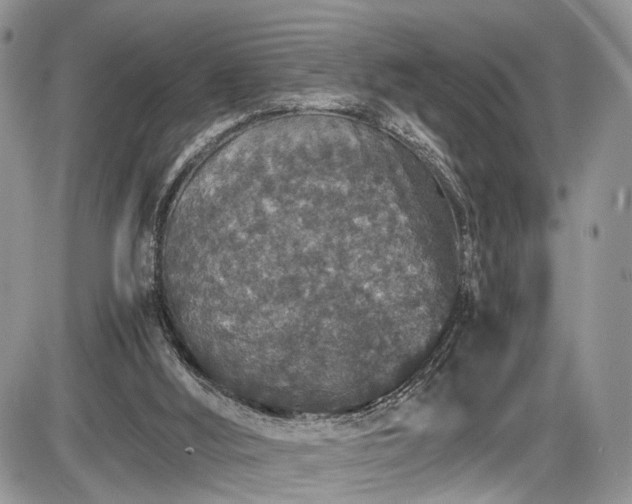 X0000085810012200703231348