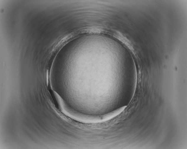 X0000085810013200703231348