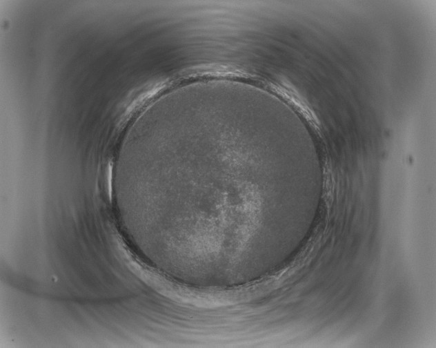 X0000085810014200703231348