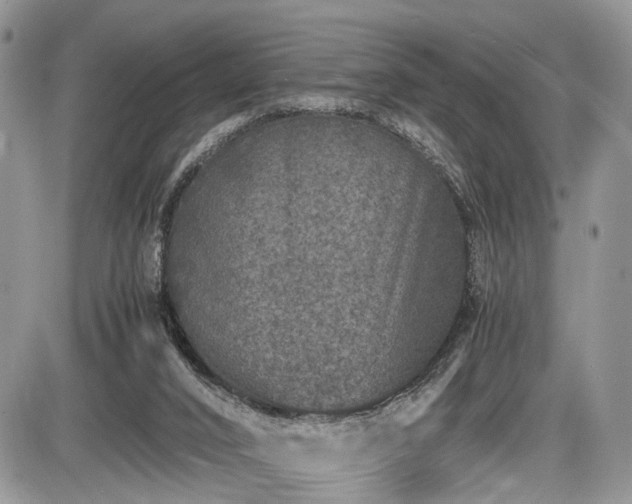 X0000085810016200703231348