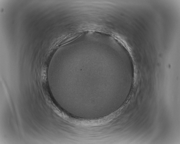 X0000085810017200703231348