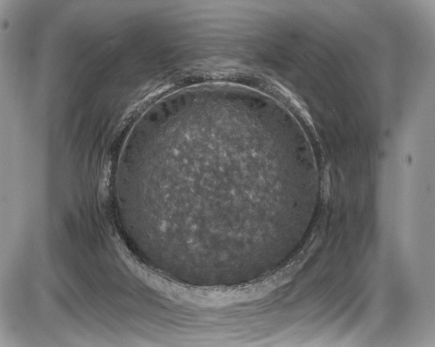 X0000085810018200703231348