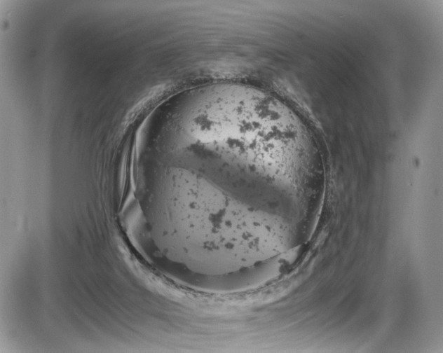 X0000085810019200703231348