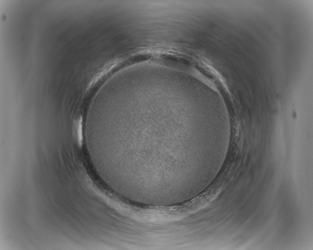 X0000085810020200703231347