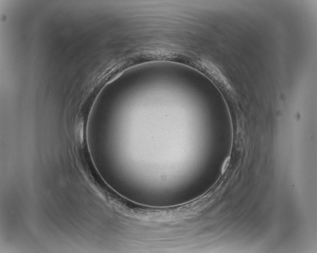 X0000085810021200703231347