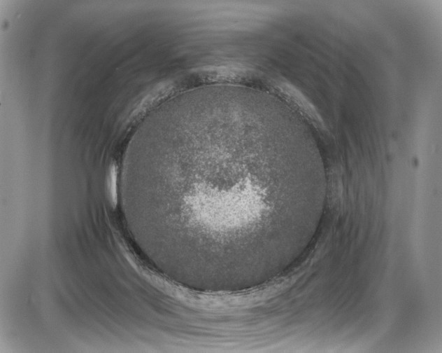 X0000085810022200703231347