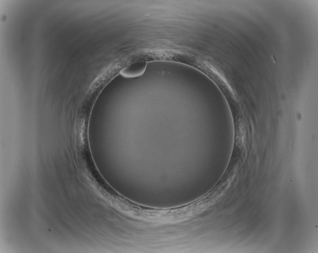 X0000085810023200703231347