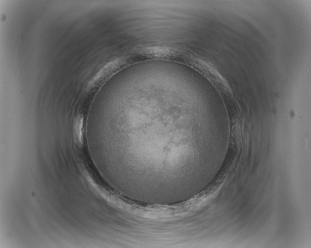 X0000085810024200703231347