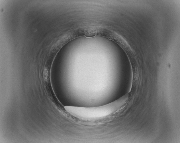 X0000085810025200703231347