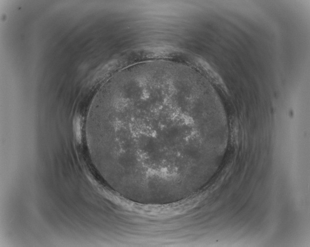 X0000085810026200703231347