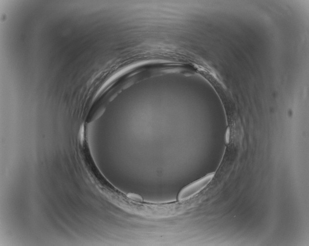 X0000085810027200703231347