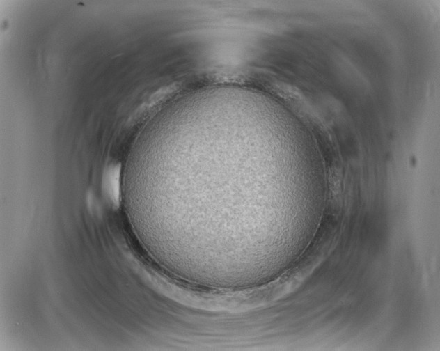 X0000085810028200703231347