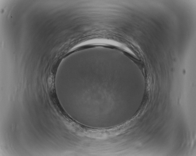 X0000085810029200703231347