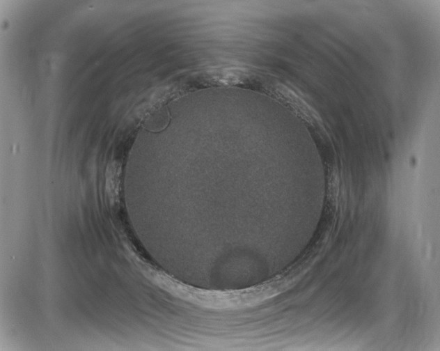 X0000085810030200703231347