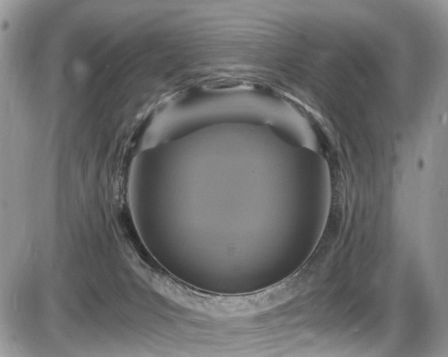 X0000085810031200703231347