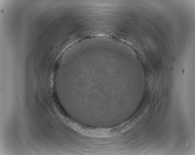 X0000085810032200703231347