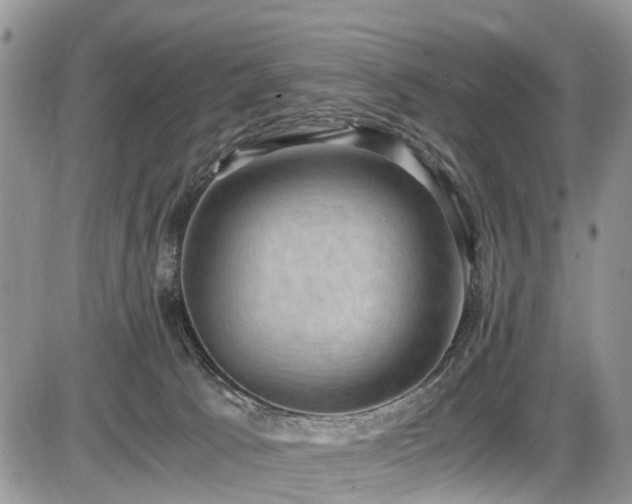 X0000085810033200703231347