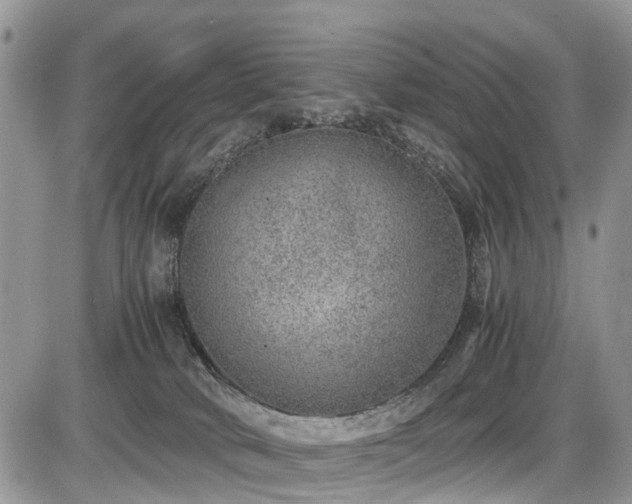 X0000085810034200703231347