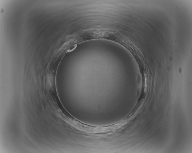 X0000085810035200703231347