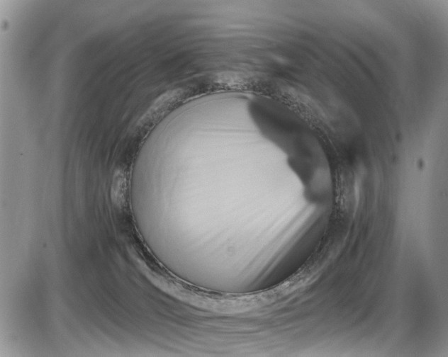 X0000085810036200703231347