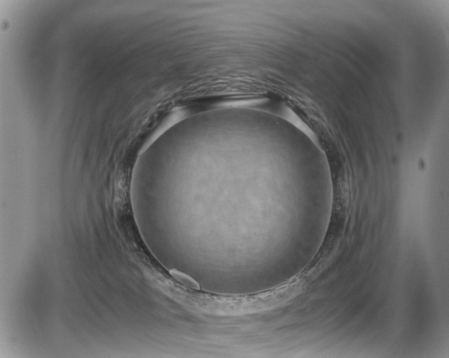 X0000085810037200703231347