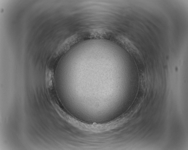 X0000085810038200703231347